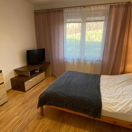 Apartament Zacisze Ustroń Zewnętrze zdjęcie