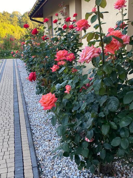 Apartament Zacisze Ustroń Zewnętrze zdjęcie